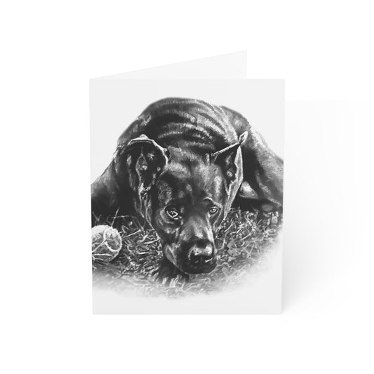 BDM Black Dog blank notecards
