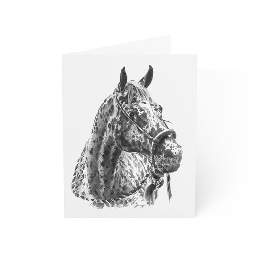Appaloosa Blank Notecards
