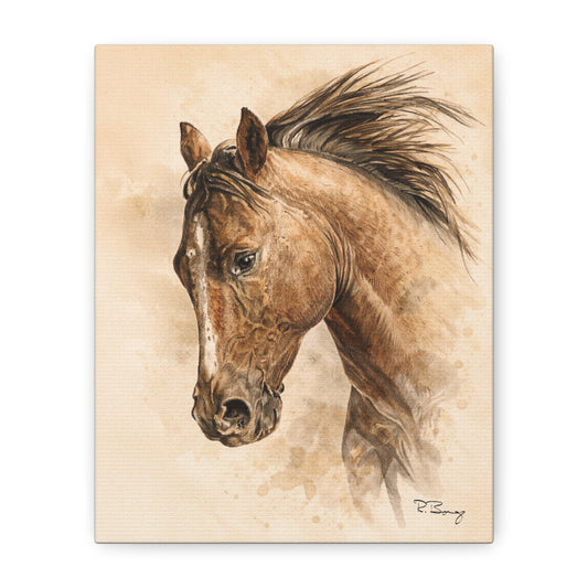 Quiet Working Horse Stretched Canvas — Graphite & Watercolor Ranch Art
