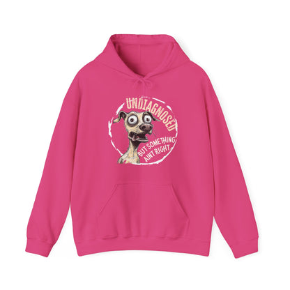 Undiagnosed But Aint Right Hoodie