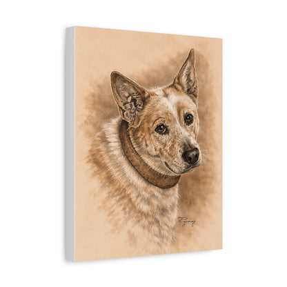 Australian Cattle Dog (Heeler) Stretched Canvas
