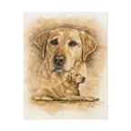 Yellow Labrador Archival Poster — "Stella"