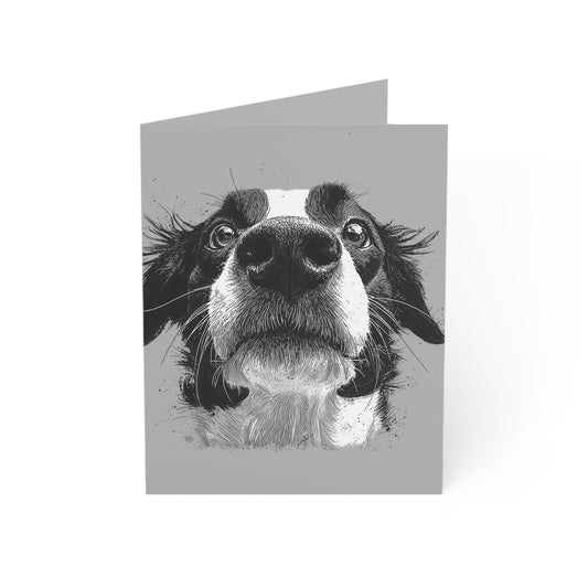 The Big Nose Border Collie Blank Notecards