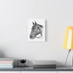 Horse Head, Custom Stretched Canvas