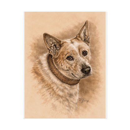 Australian Cattle Dog (Heeler) Archival Print