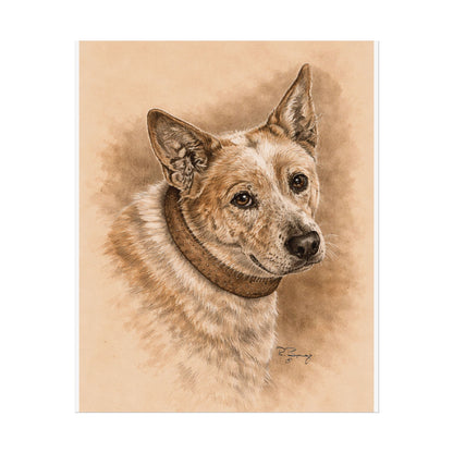 Australian Cattle Dog (Heeler) Archival Print