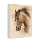 Quiet Working Horse Stretched Canvas — Graphite & Watercolor Ranch Art