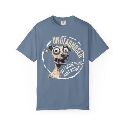 Undiagnosed but something aint right T-Shirt, Just Be Kind Unisex Tee