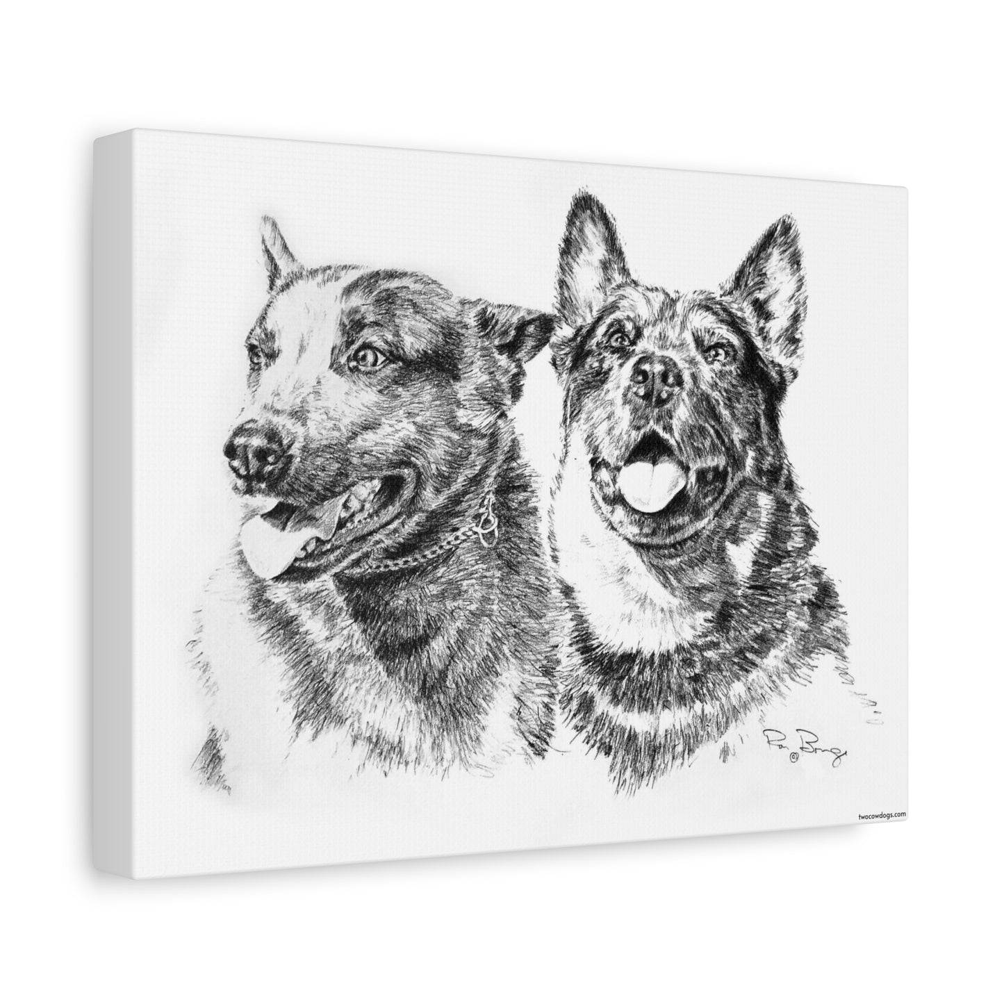 Two Cowdogs Stretched Canvas
