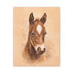 Star Colt Stretched Canvas Print