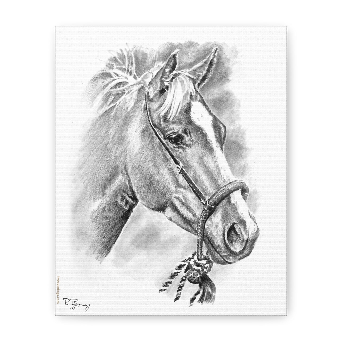 Stretched Canvas Vaquero Horse