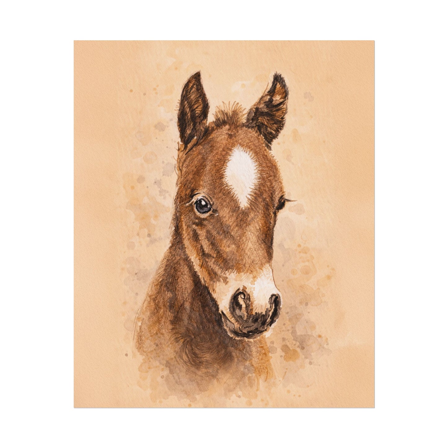 Star Colt Archival Paper Print