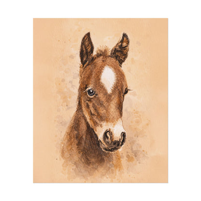 Star Colt Archival Paper Print