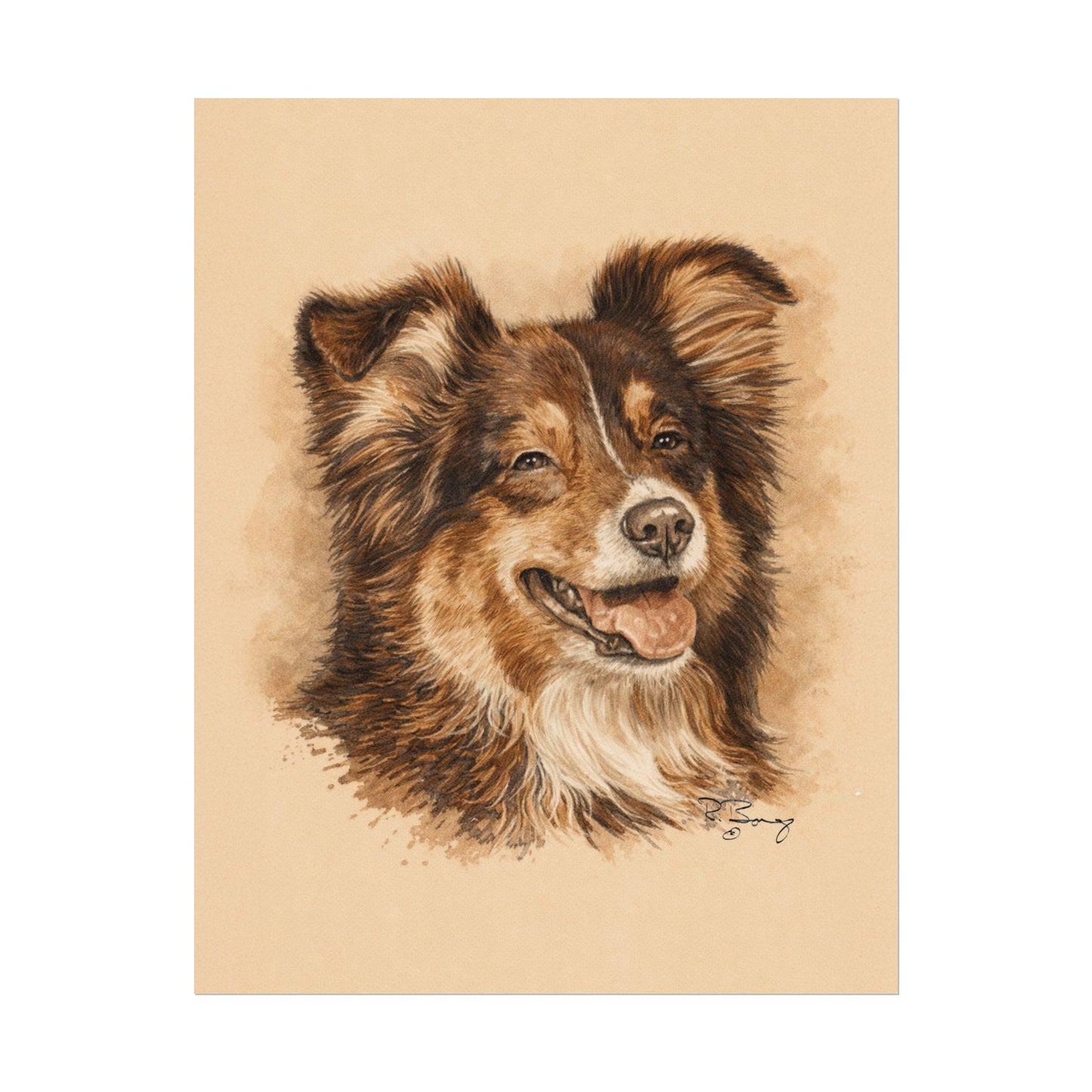 Toy Aussie Australian Shepherd Archival Paper Print
