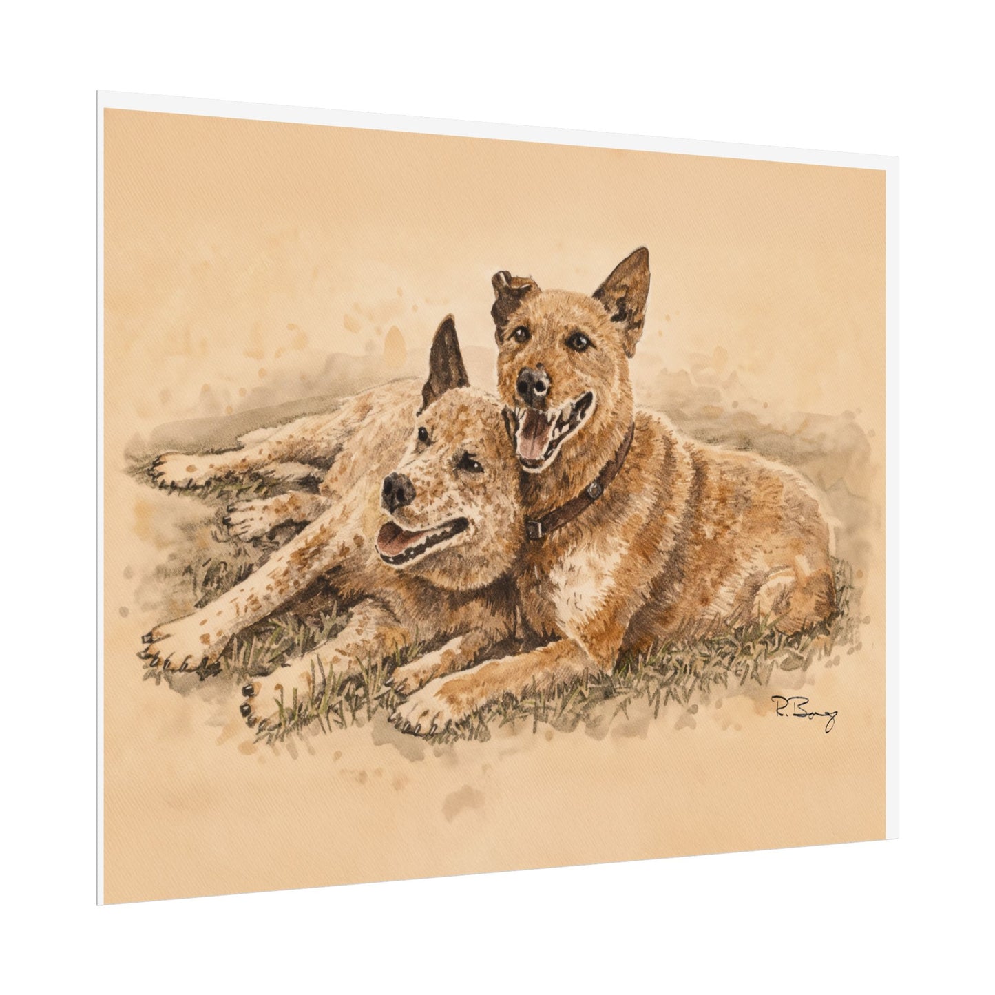 Two Cow Dogs Watercolor Print