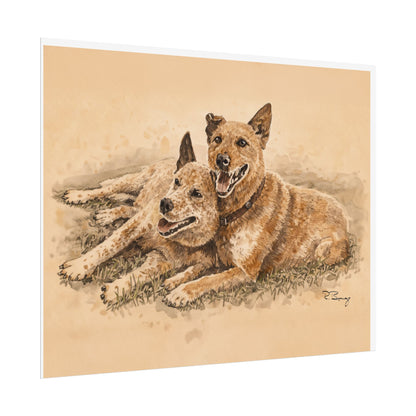 Two Cow Dogs Watercolor Print