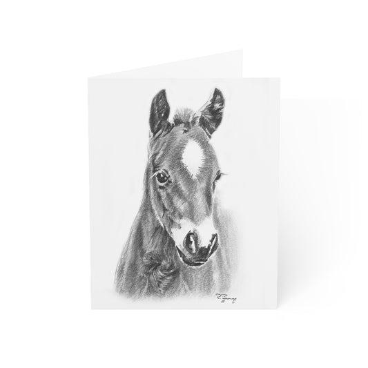 Star Foal Blank Notecards (envelopes included)