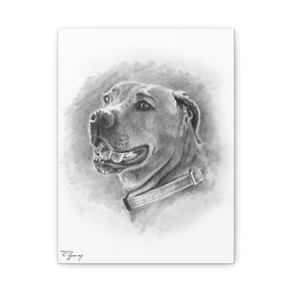 Black Mouth Cur, Custom Stretched Canvas
