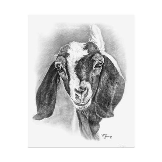 Boer Goat, Custom Print