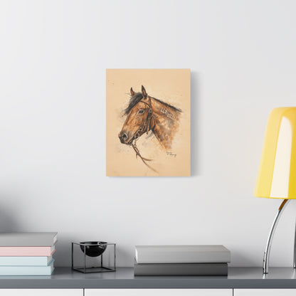 Mustang Stretched Canvas Art