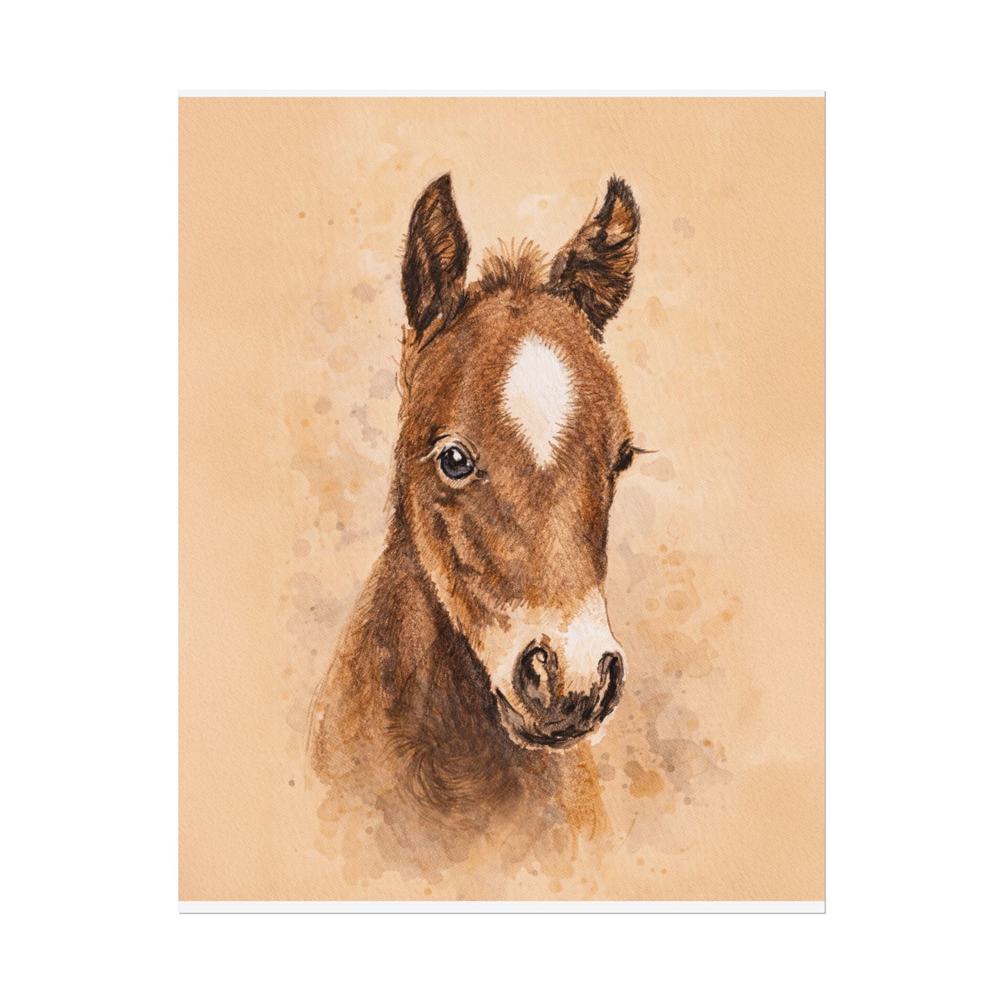Star Colt Archival Paper Print