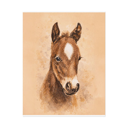 Star Colt Archival Paper Print
