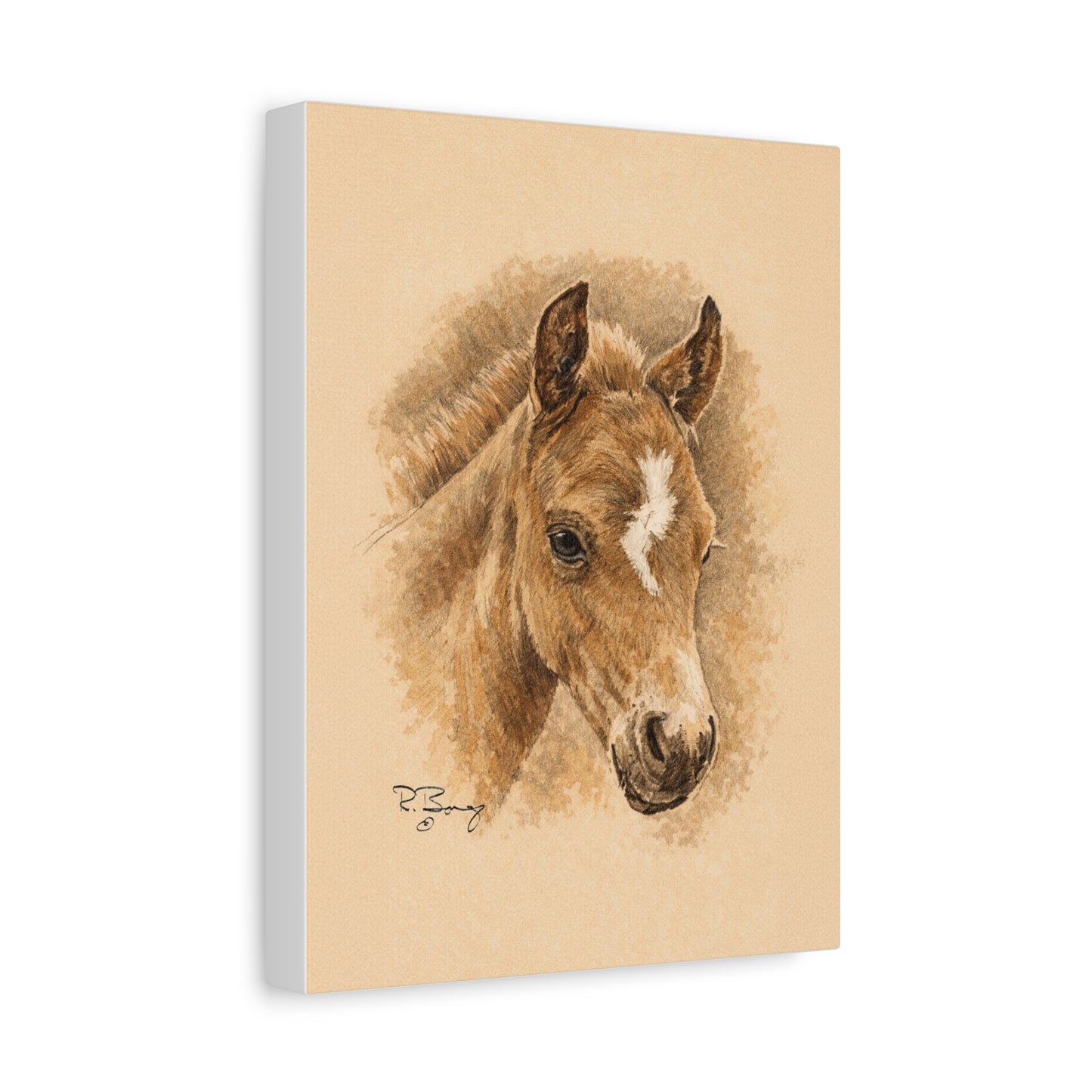 Lightning Colt Stretched Canvas Print