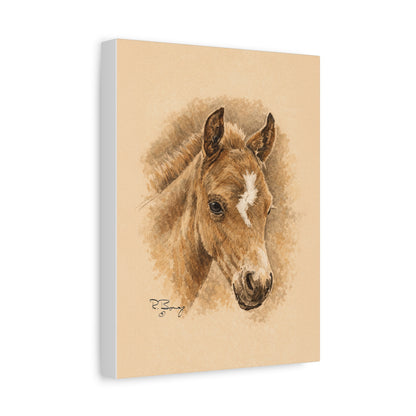 Lightning Colt Stretched Canvas Print