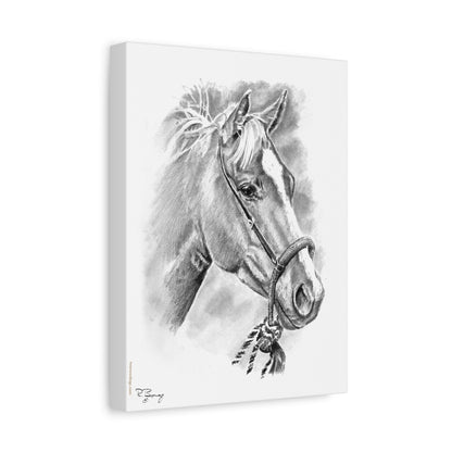 Stretched Canvas Vaquero Horse