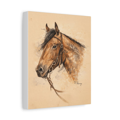 Mustang Stretched Canvas Art