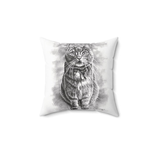 Ernie the Cat Pillow