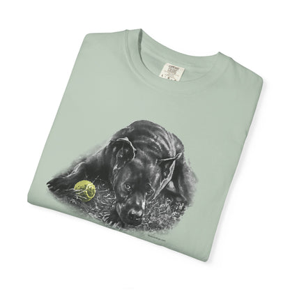 Black Dog Super-Soft T-Shirt