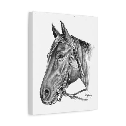 Horse Head, Custom Stretched Canvas