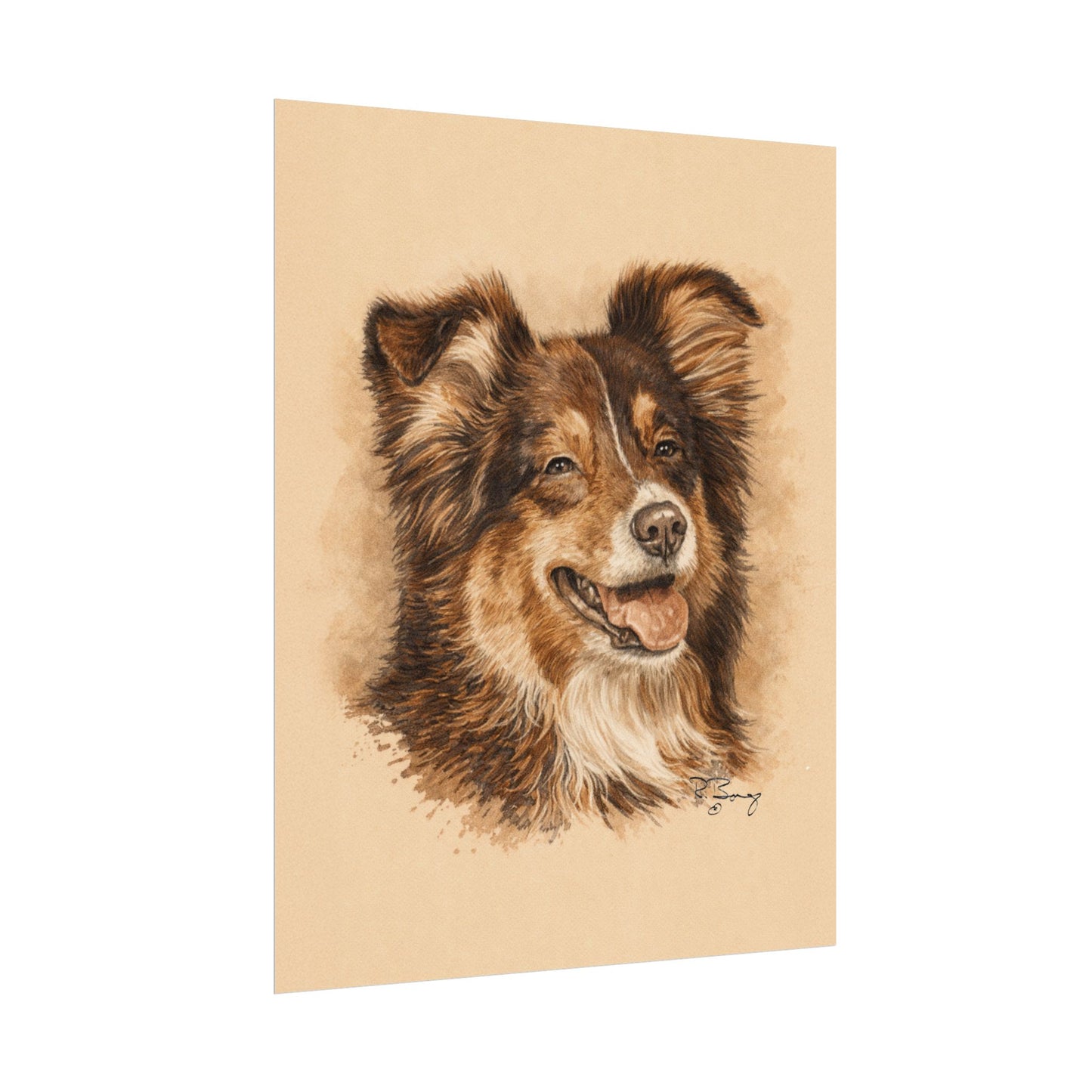 Toy Aussie Australian Shepherd Archival Paper Print