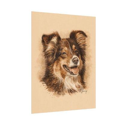 Toy Aussie Australian Shepherd Archival Paper Print