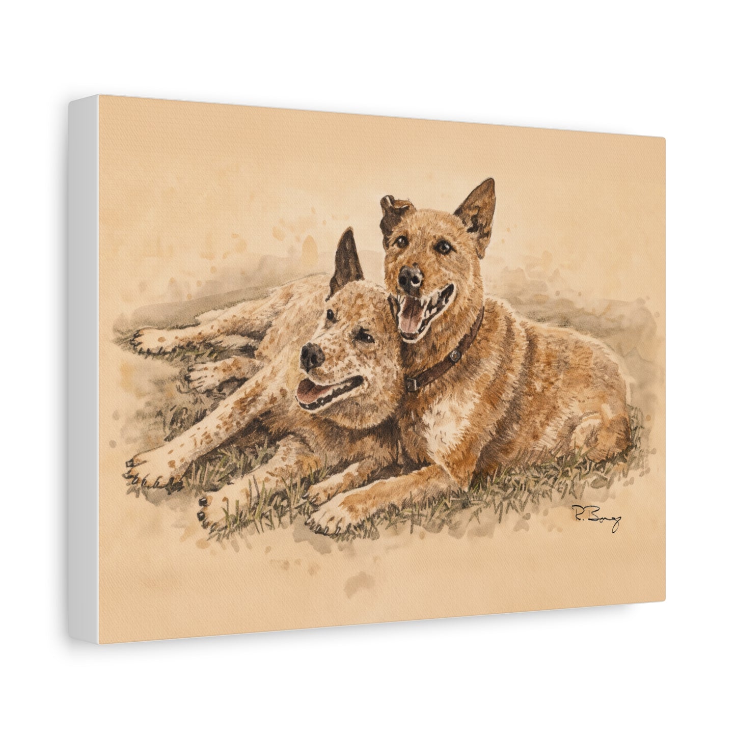 Two Cow Dogs Stretched Canvas Print