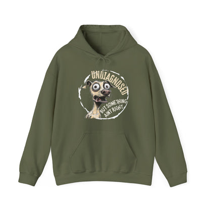 Undiagnosed But Aint Right Hoodie