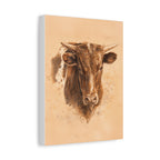 Longhorn Steer Matte Canvas Print — Stretched 1.25" Wall Art