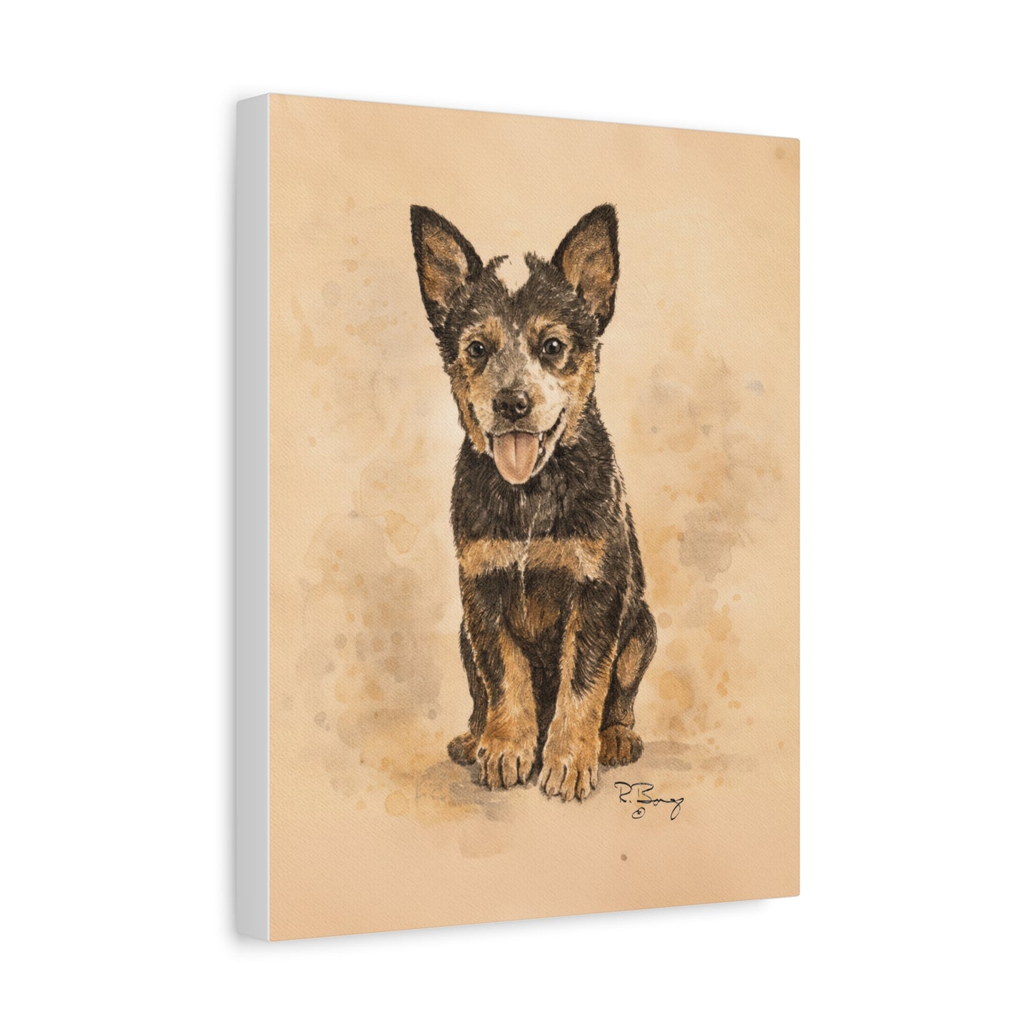 Heeler Pup, Australian Cattle Dog, Custom Stretched Canvas