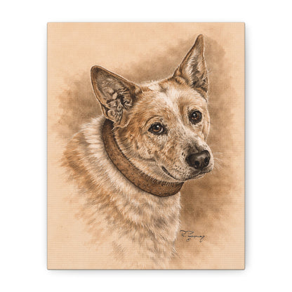 Australian Cattle Dog (Heeler) Stretched Canvas