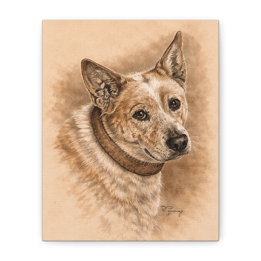 Australian Cattle Dog (Heeler) Stretched Canvas