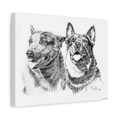 Two Cowdogs Stretched Canvas