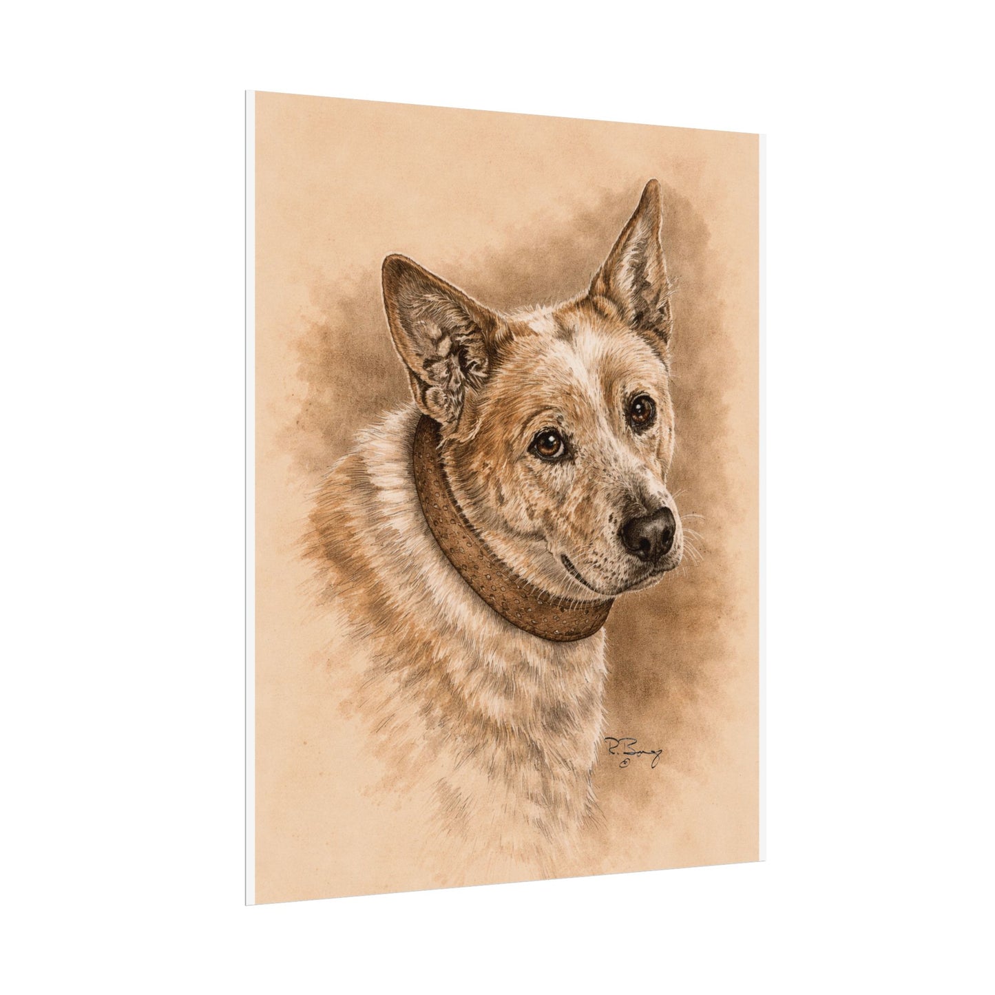 Australian Cattle Dog (Heeler) Archival Print