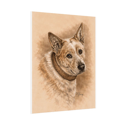 Australian Cattle Dog (Heeler) Archival Print