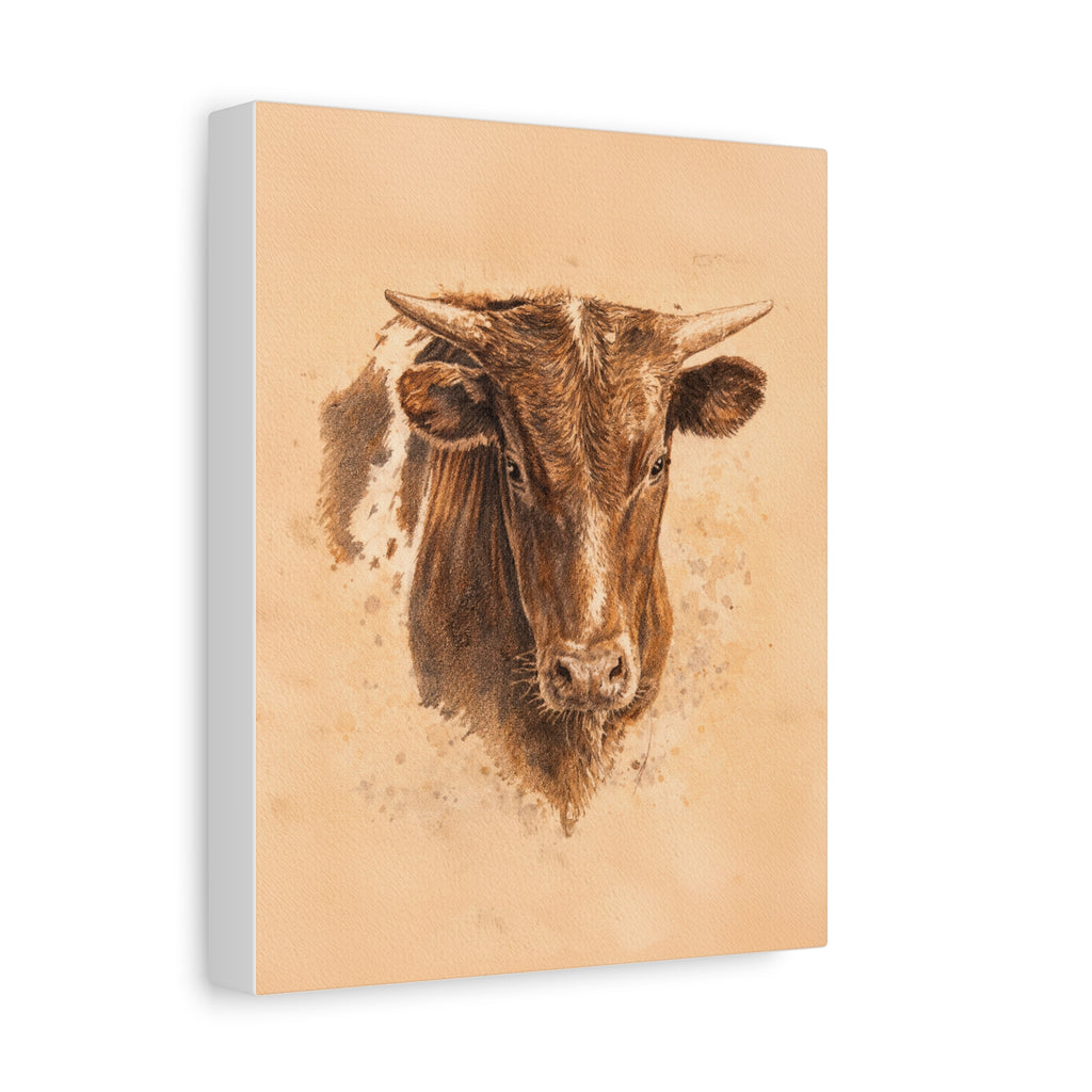 Longhorn Steer Matte Canvas Print — Stretched 1.25" Wall Art