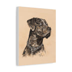 Catahoula Stretched Canvas Print