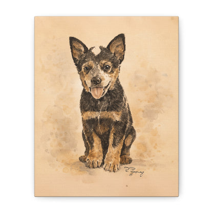 Heeler Pup, Australian Cattle Dog, Custom Stretched Canvas