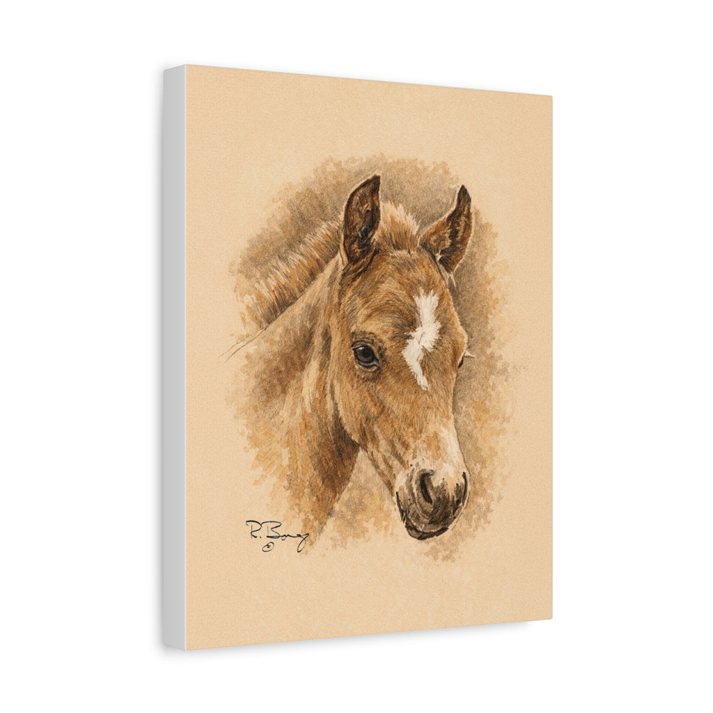 Lightning Colt Stretched Canvas Print — Matte 1.25"