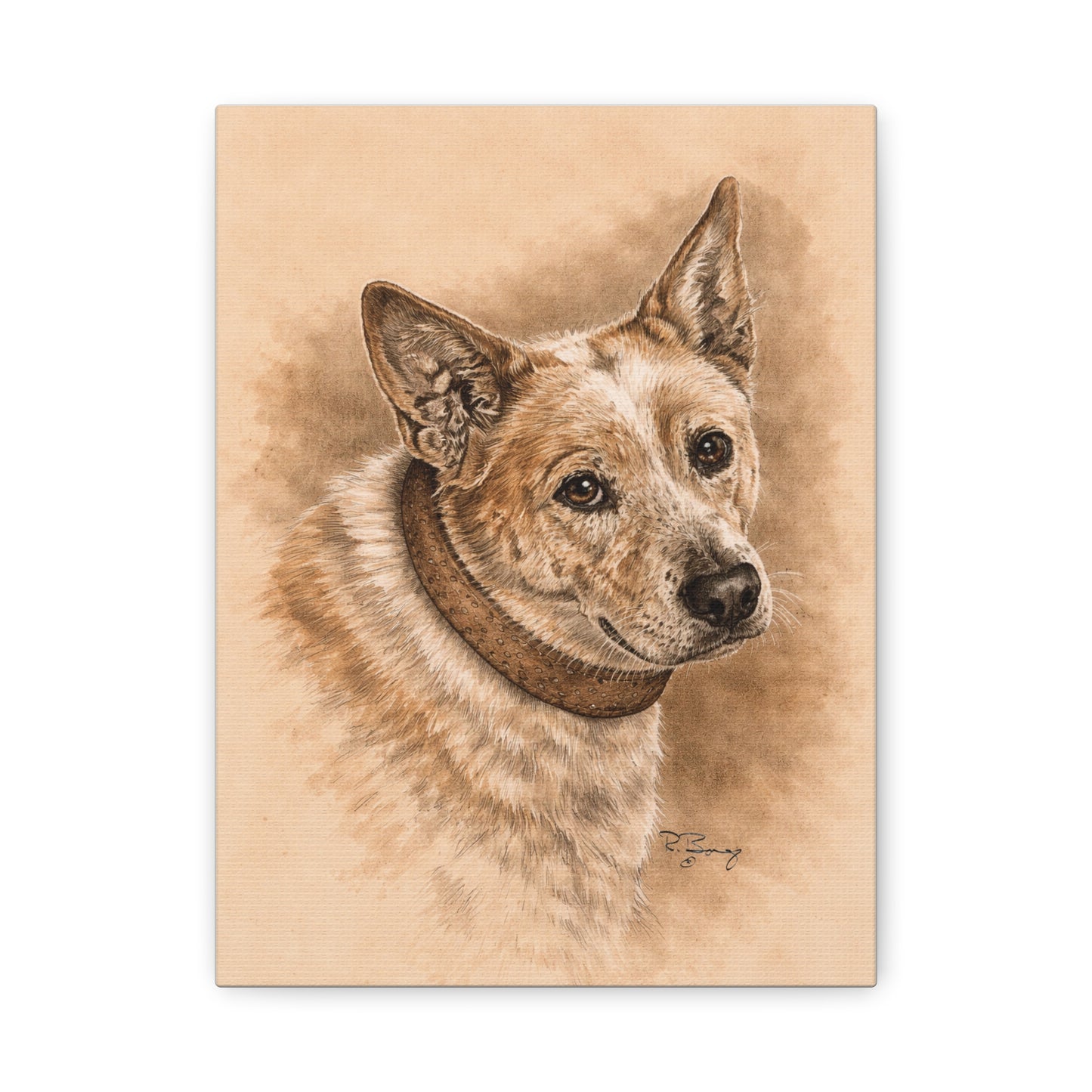 Australian Cattle Dog (Heeler) Stretched Canvas