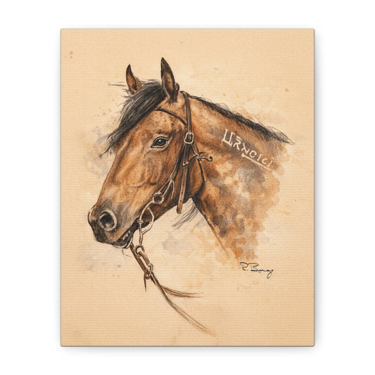 Mustang Stretched Canvas Art